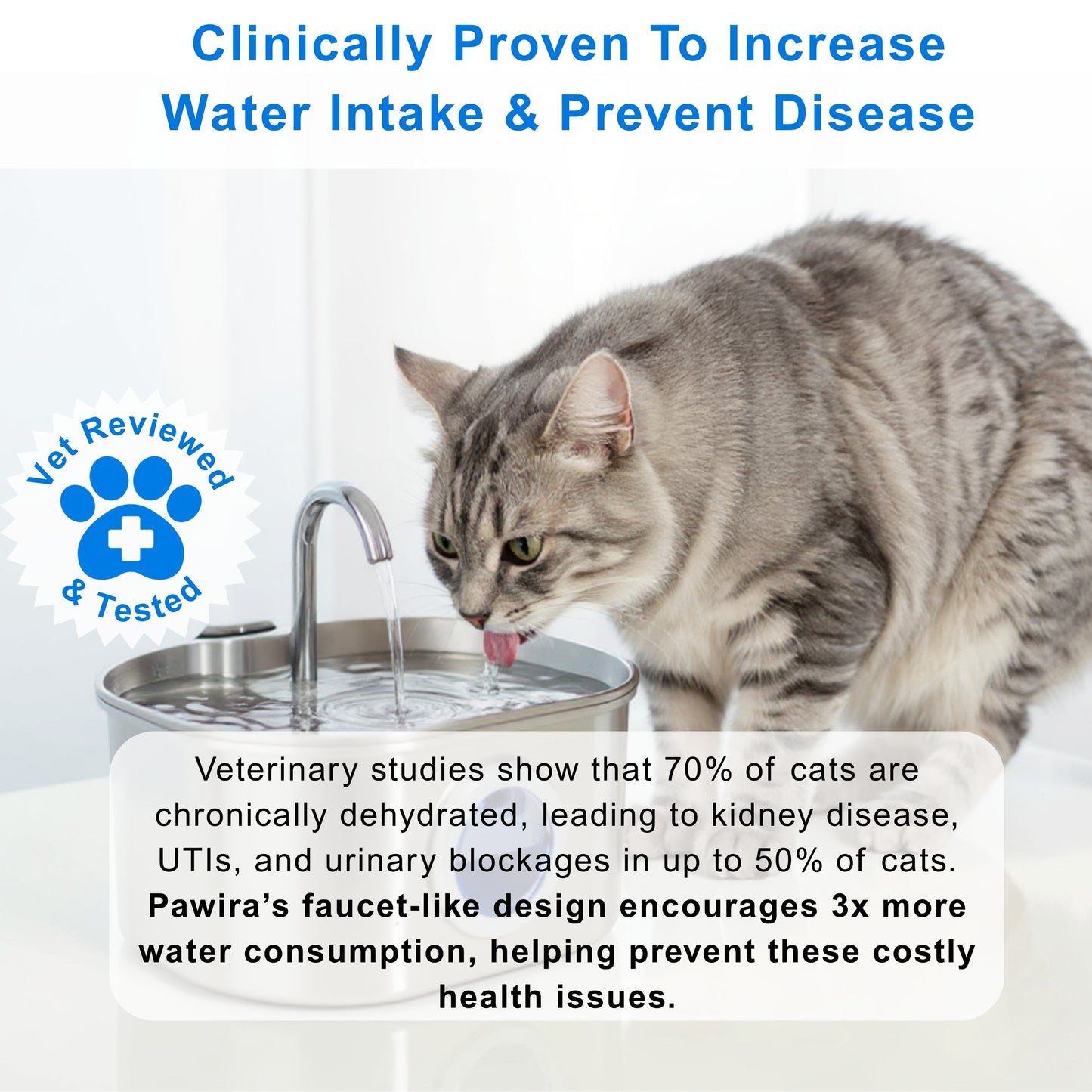 Pawira™  Stainless Steel Water Fountain