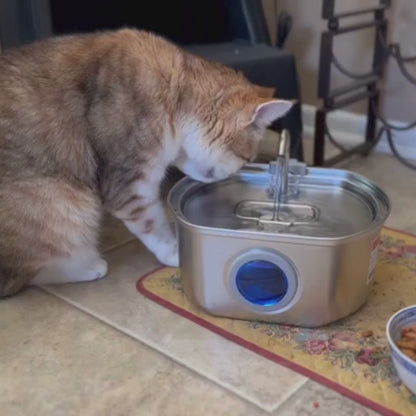 Pawira™  Stainless Steel Water Fountain